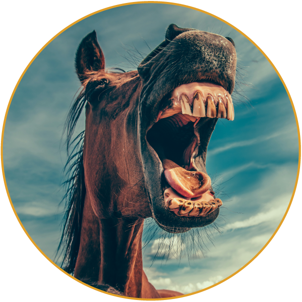 Inteligência em Marketing Digital