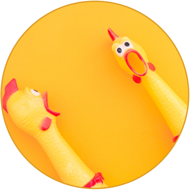 Projetos \ entregues em \ 5 países